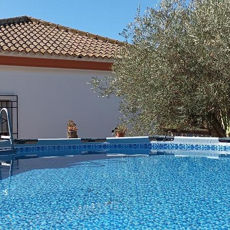 Villa Oasis Los Gallardos Exterior foto